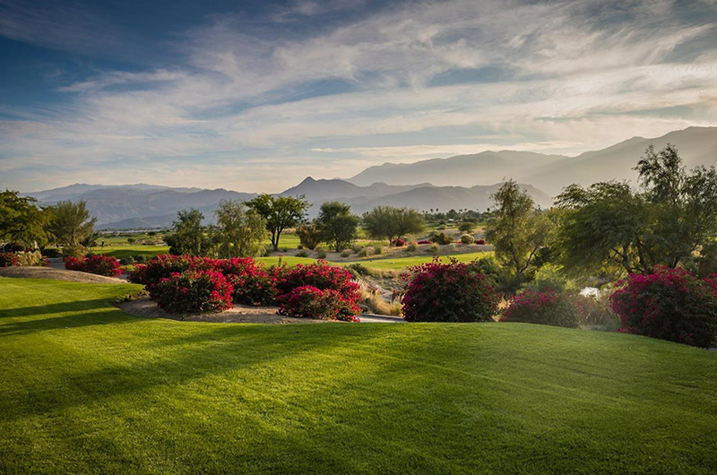 golf course with mountains and flower bushes